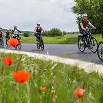 B&B Dobosi Birtokkoezpont Szentantalfa