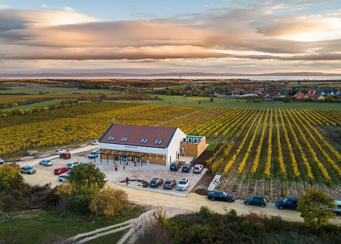 Bed & Breakfast Dobosi Birtokkoezpont