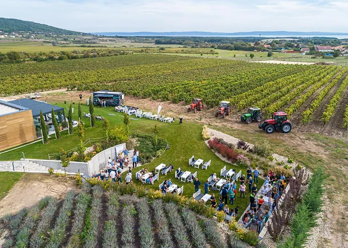 Dobosi Birtokkoezpont 4*