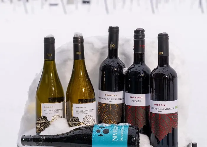 Bed & Breakfast Dobosi Birtokkoezpont Szentantalfa